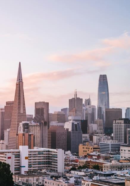 SF SF